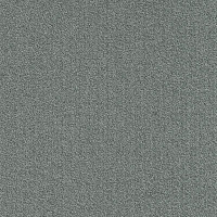 Modulyss Millennium Nxtgen Millennium Nxtgen 957 фото 1 | FLOORDEALER